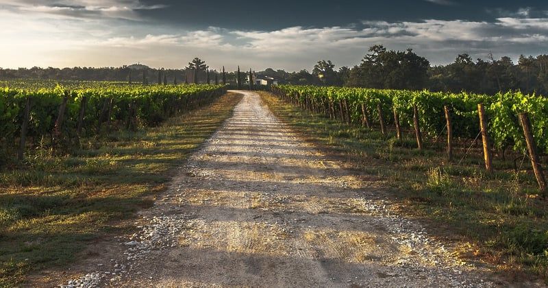 Itinéraire vélo en Provence pour découvrir les vignobles autrement