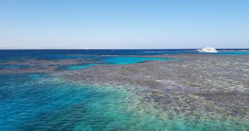 Les pépites du Grand Sud : Rocky, St John's, Zabargad