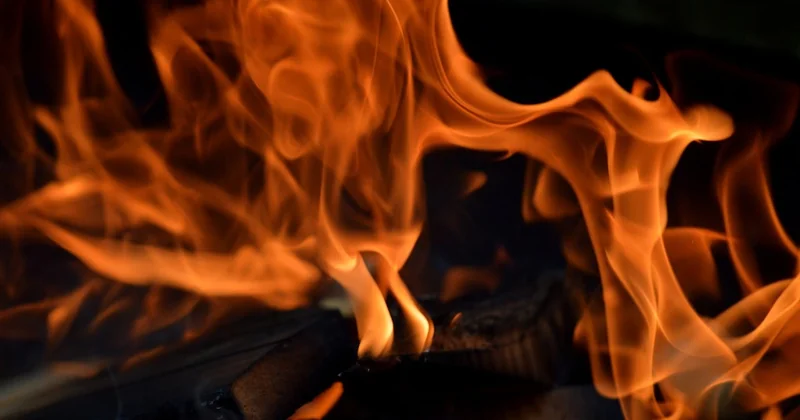 Paella au feu de bois à Valencia : le vrai critère de sélection